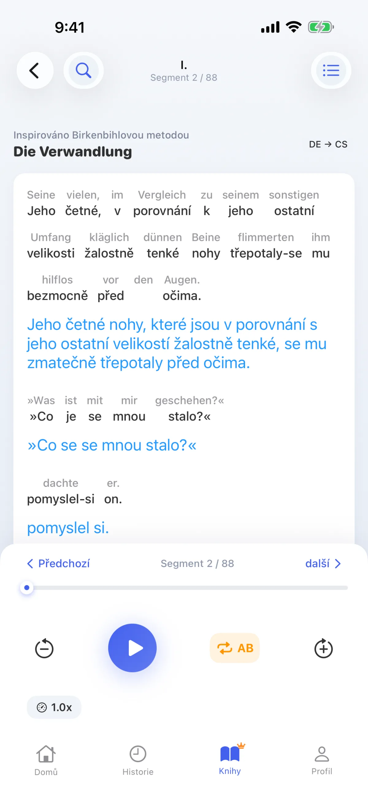Čtení knihy: každá věta je dekódována slovo po slově