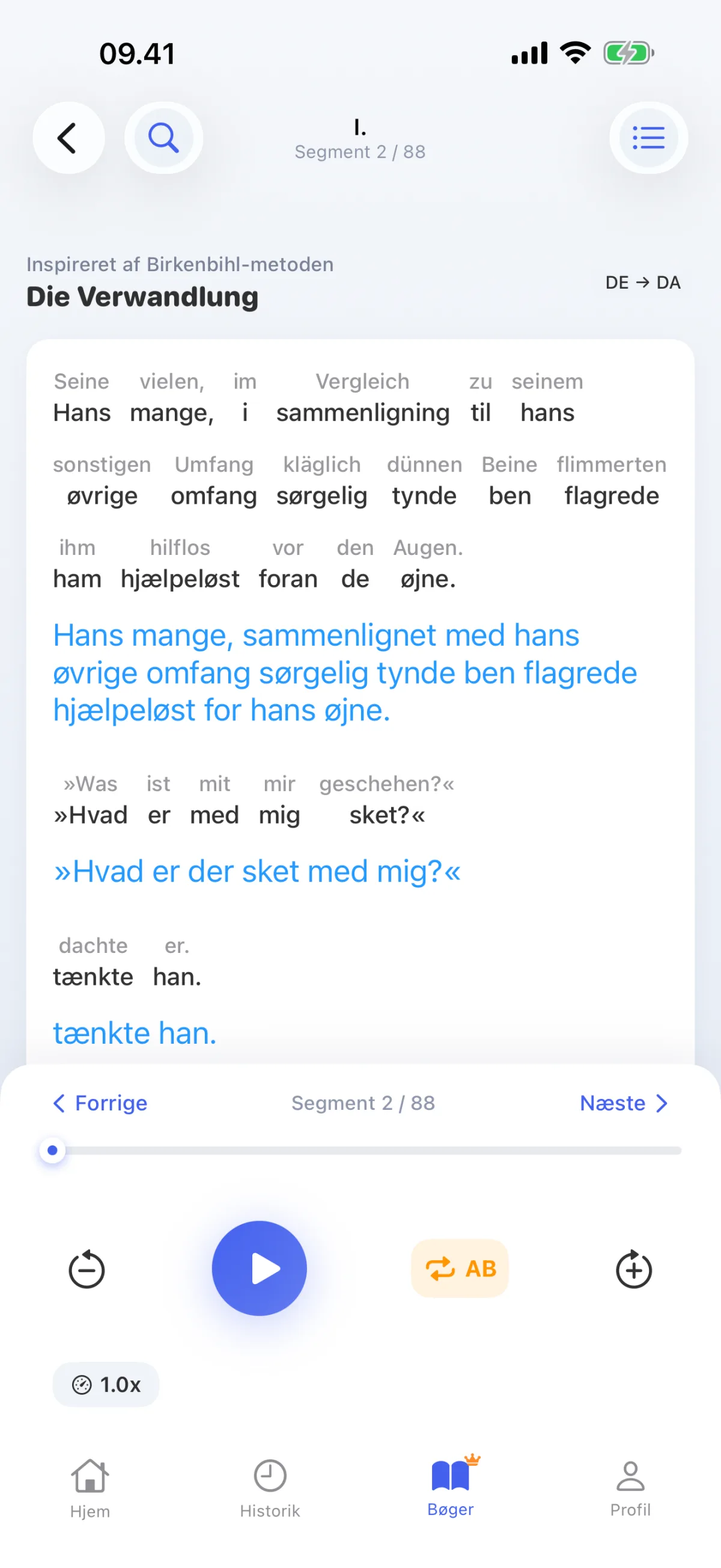 At læse en bog: hver sætning afkodes ord for ord