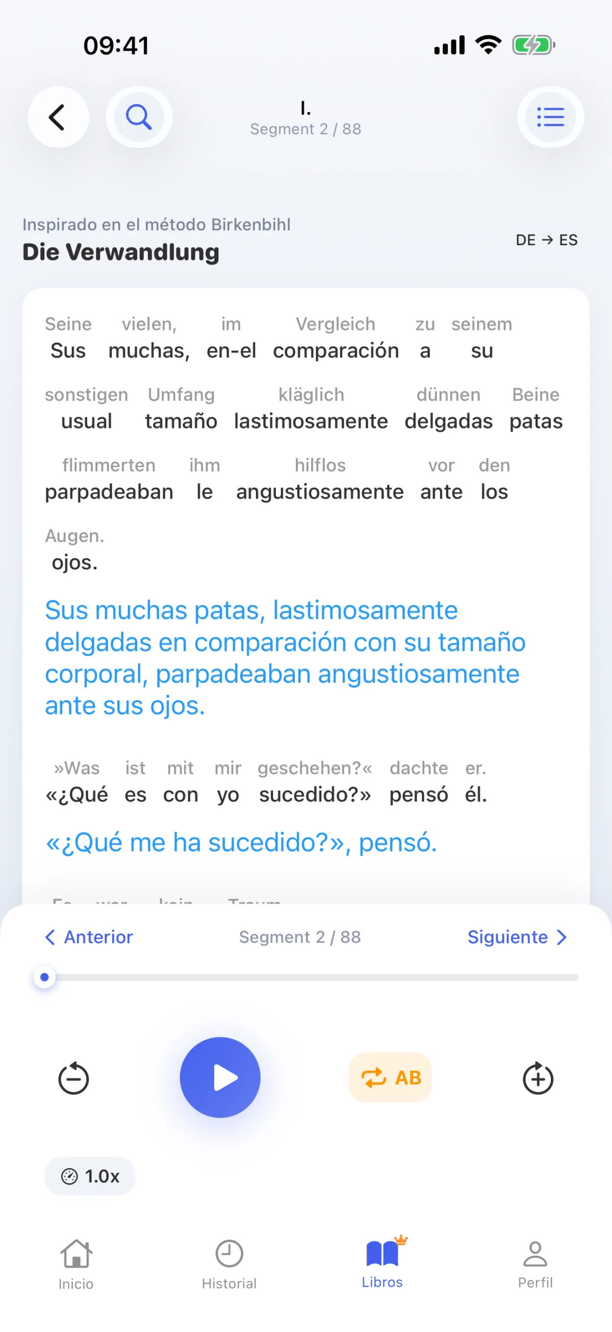Leer un libro: descifrar cada frase palabra por palabra