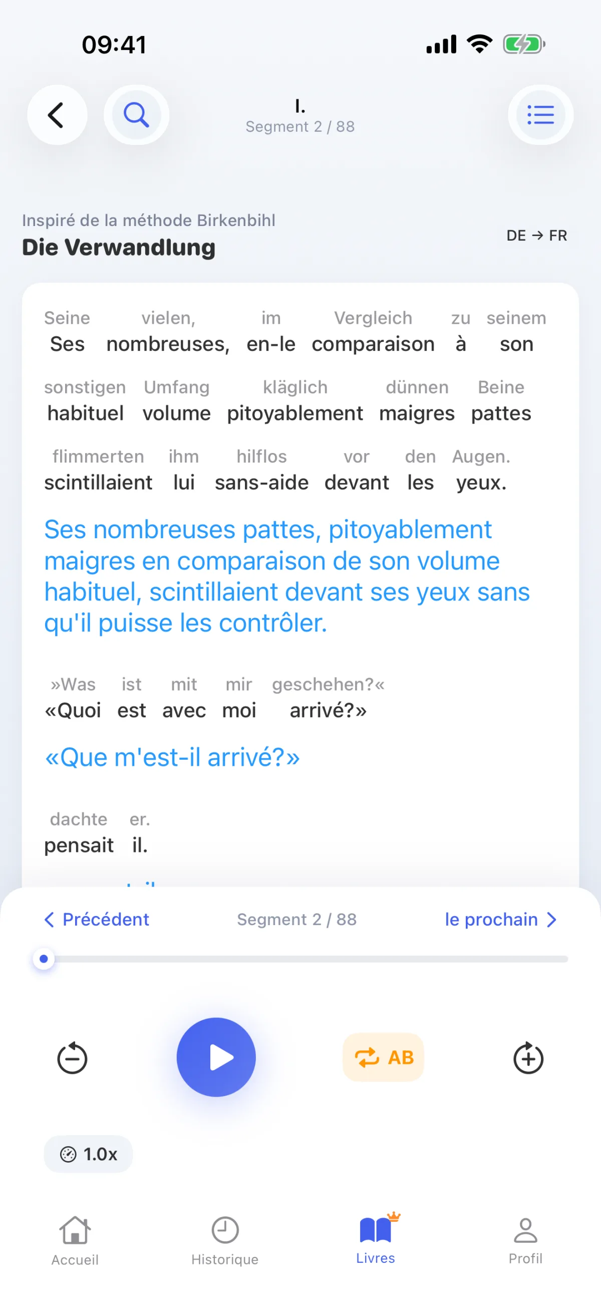 Lire un livre : décoder chaque phrase mot à mot