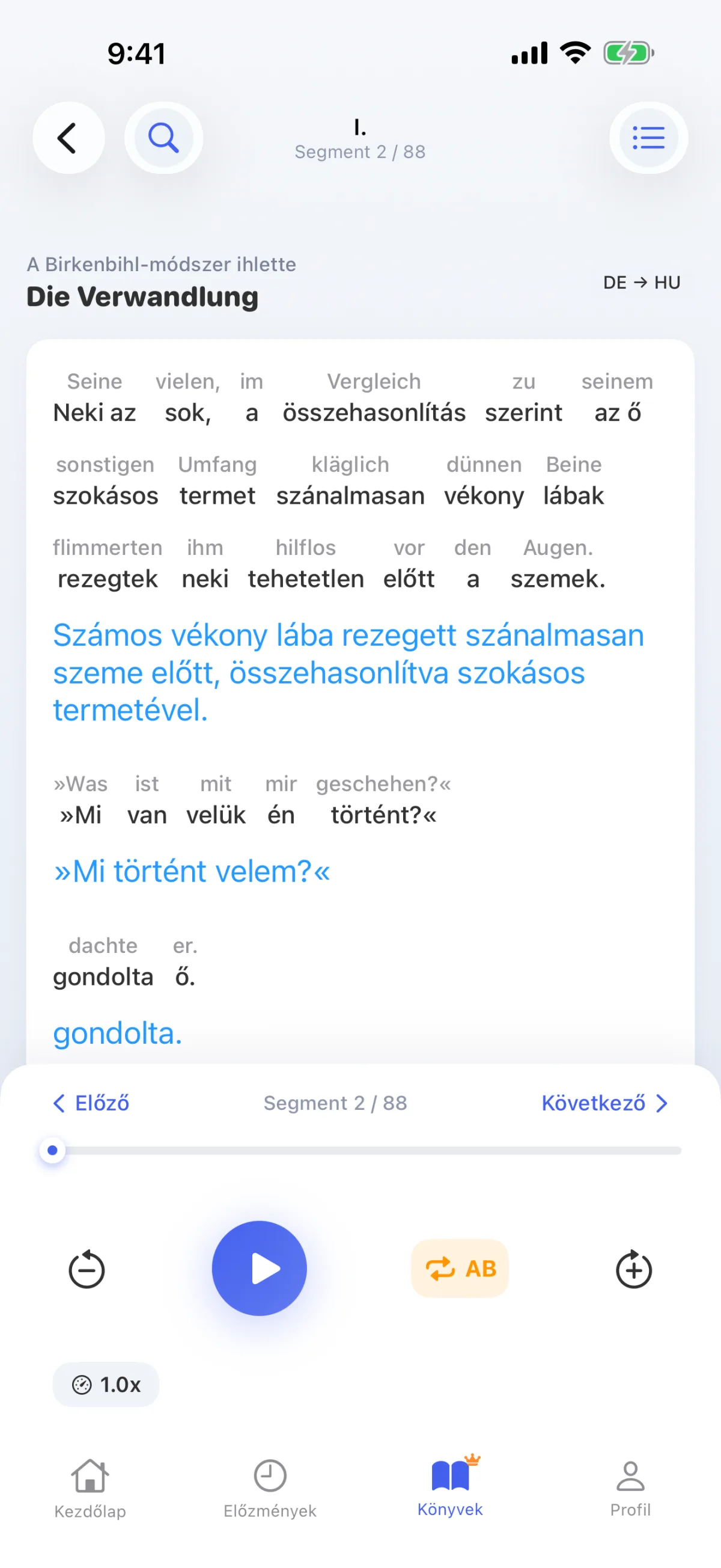 Könyvolvasás: minden mondat szóról szóra lefordítva