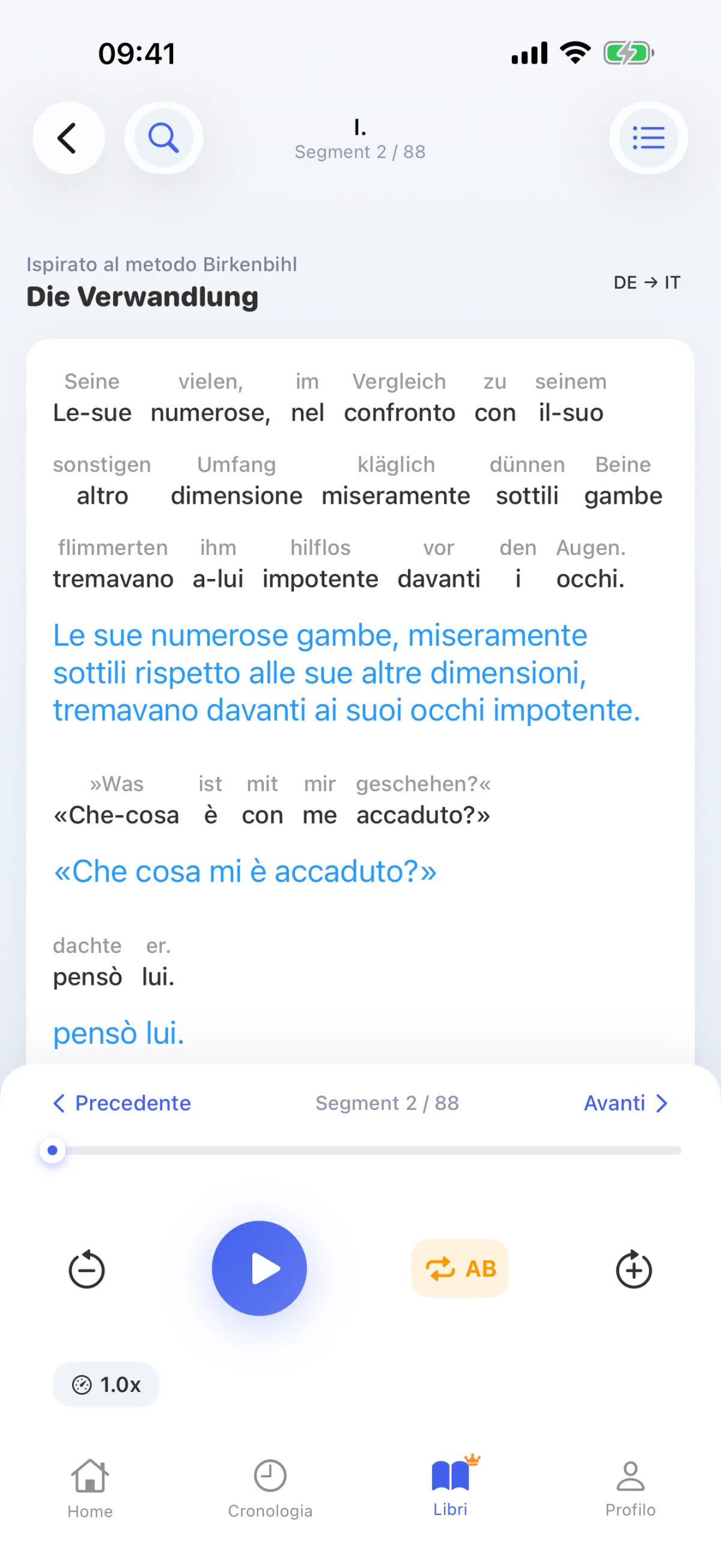 Leggere un libro: decodificare ogni frase parola per parola