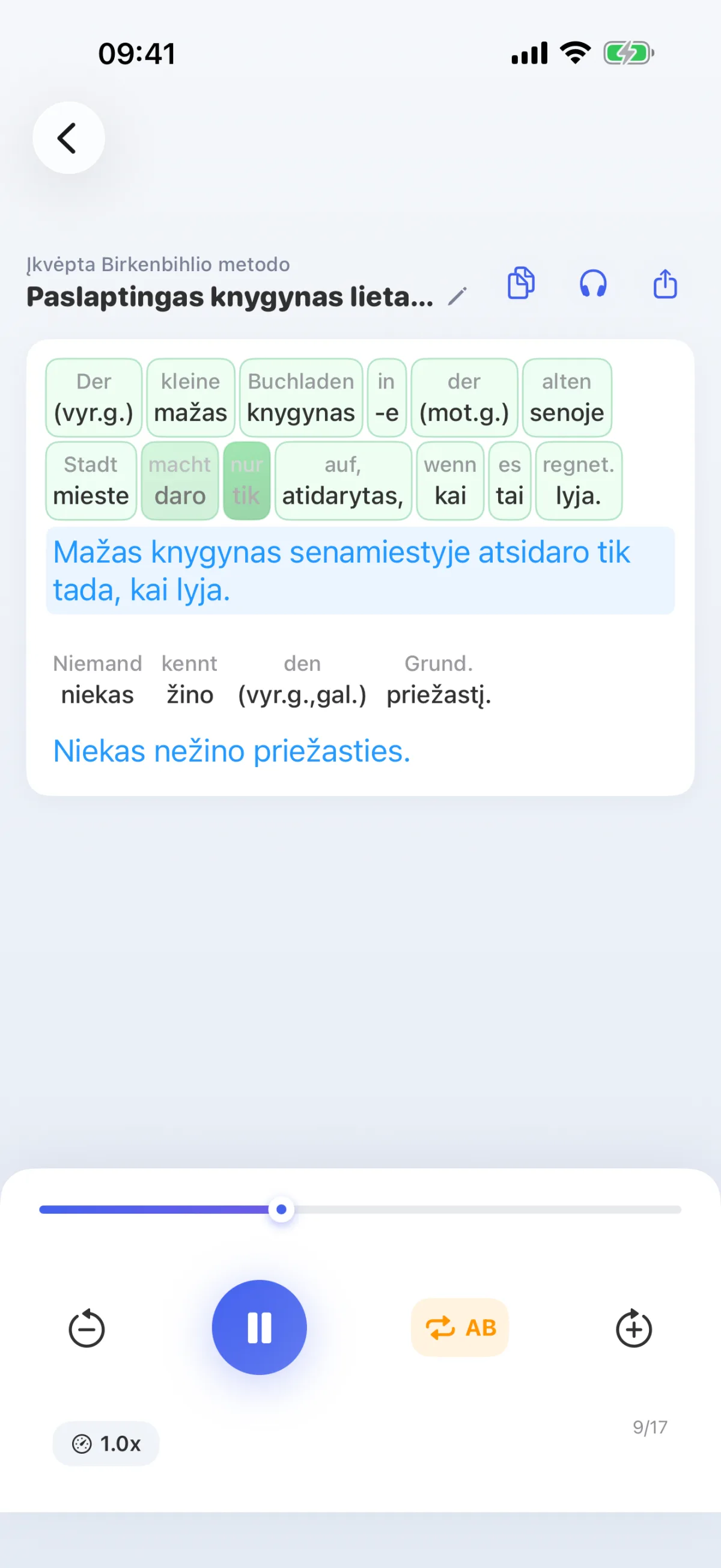 „LinguaFlow“ programėlės veikimo principas – užsienio kalbos supratimas žodis po žodžio, įkvėptas Birkenbihlio metodo