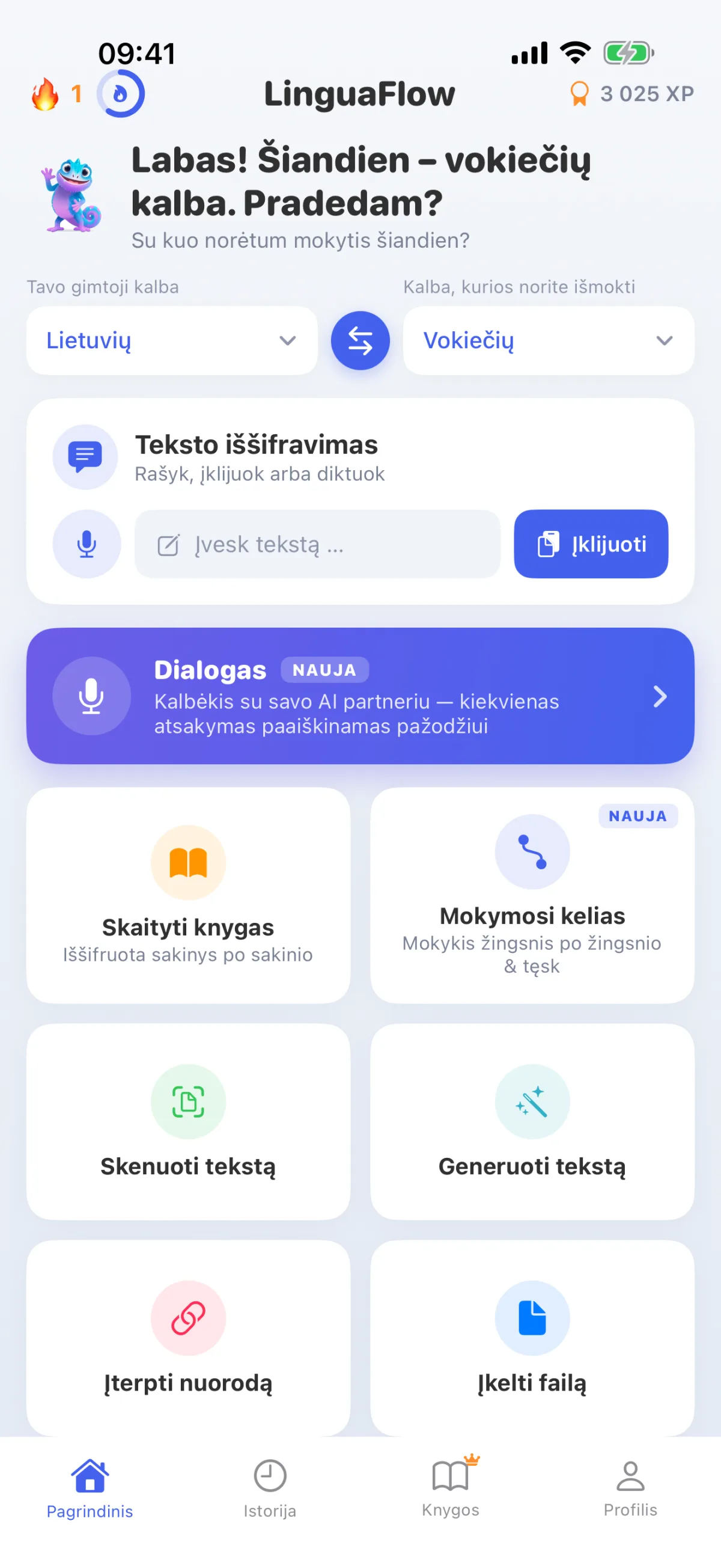 „LinguaFlow“ pagrindinis puslapis – pasirinkite gimtąją ir mokomąją kalbą, iššifruokite tekstą