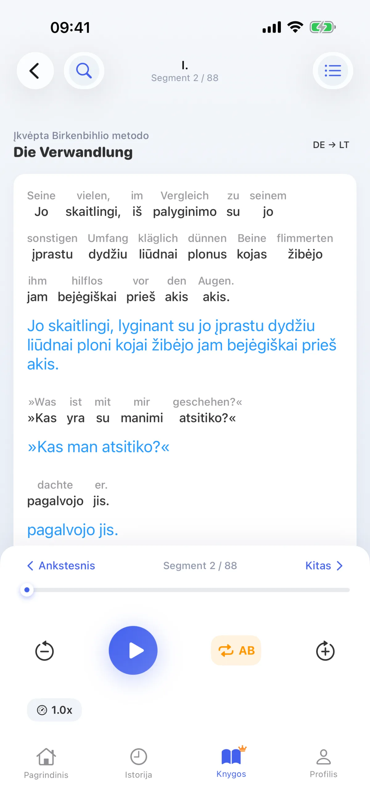 Knygos skaitymas: kiekvienas sakinys iššifruojamas žodis po žodžio