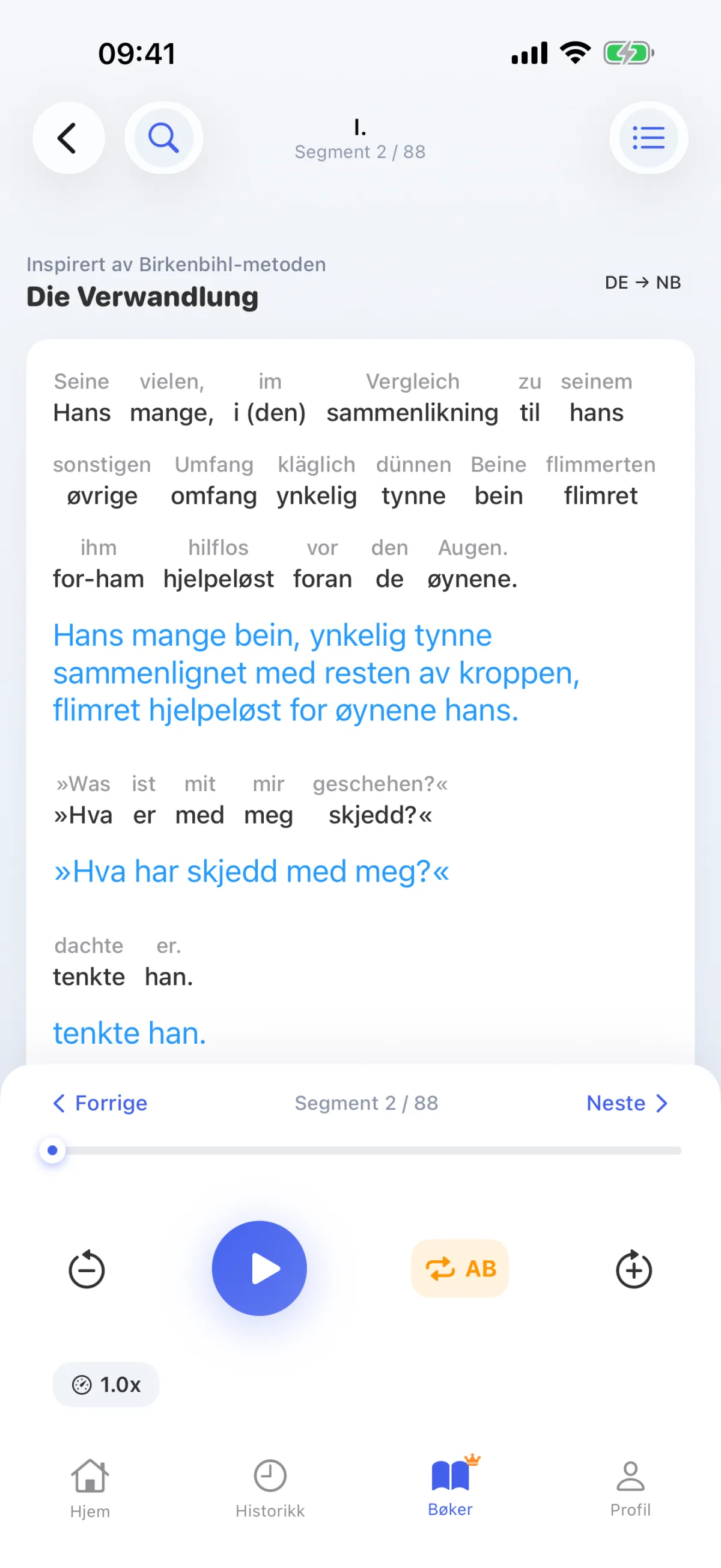 Å lese en bok: hver setning avkodes ord for ord