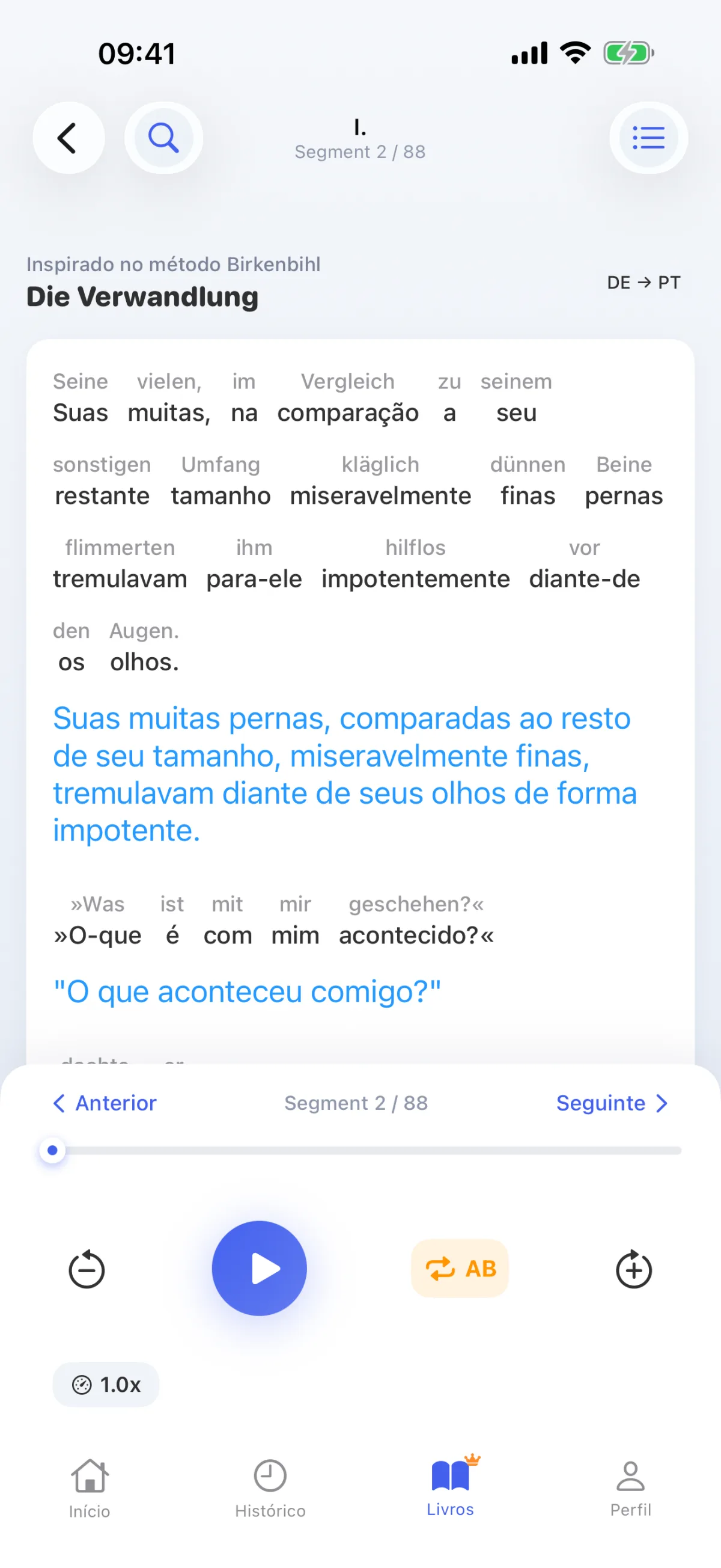Ler um livro: descodificar cada frase, palavra por palavra