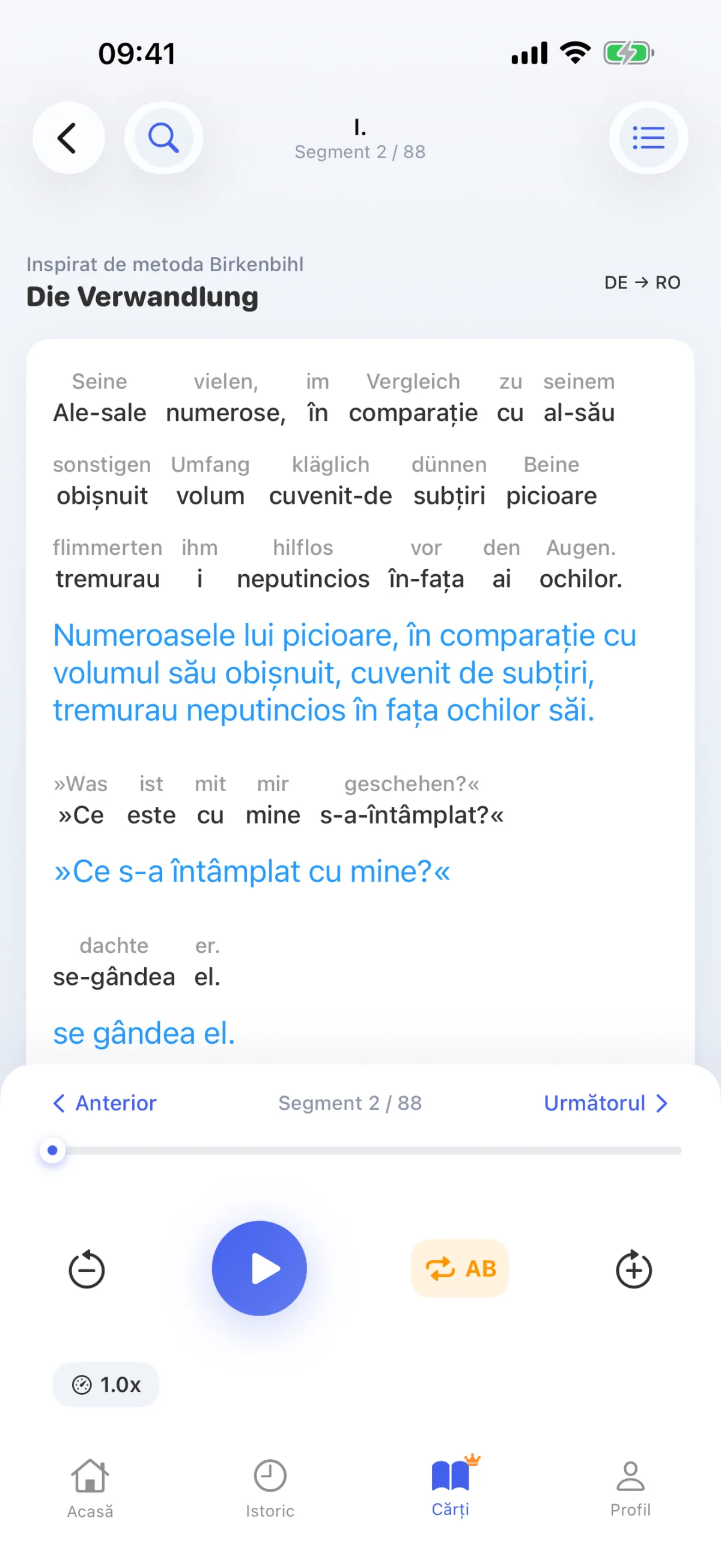 Citirea unei cărți: fiecare propoziție este decodată cuvânt cu cuvânt