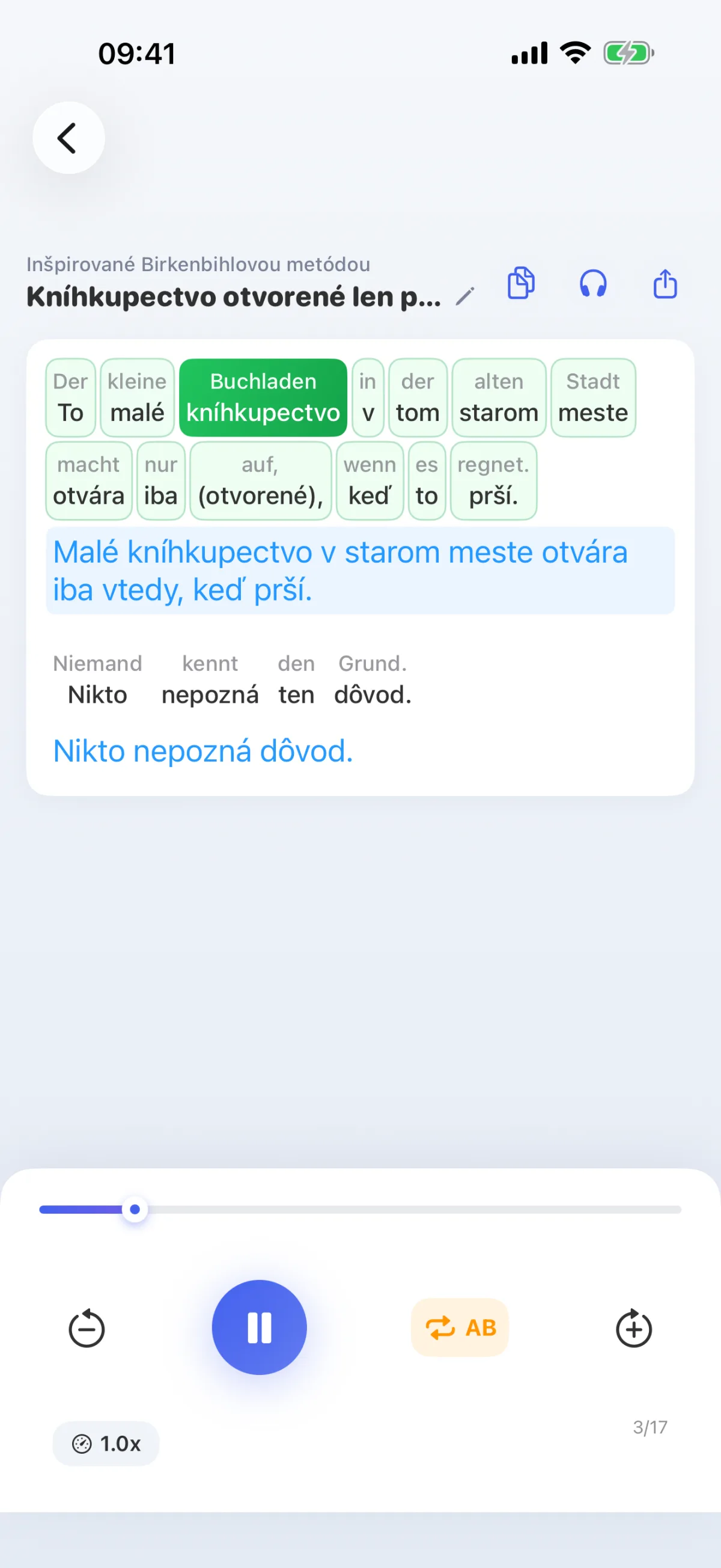 Aplikácia LinguaFlow – dekódovanie – porozumenie cudzieho jazyka slovo za slovom, inšpirované Birkenbihlovou metódou