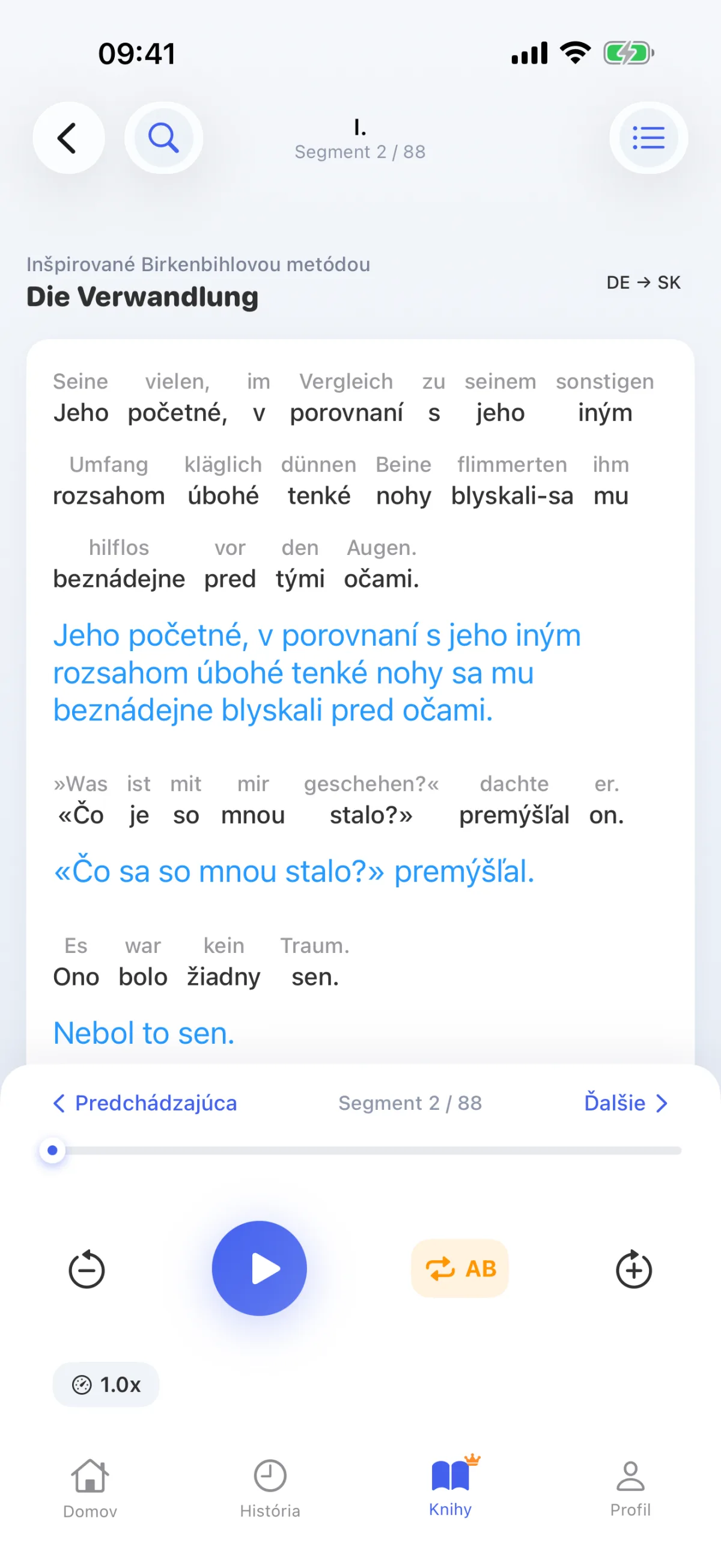 Čítanie knihy: každá veta je dešifrovaná slovo za slovom