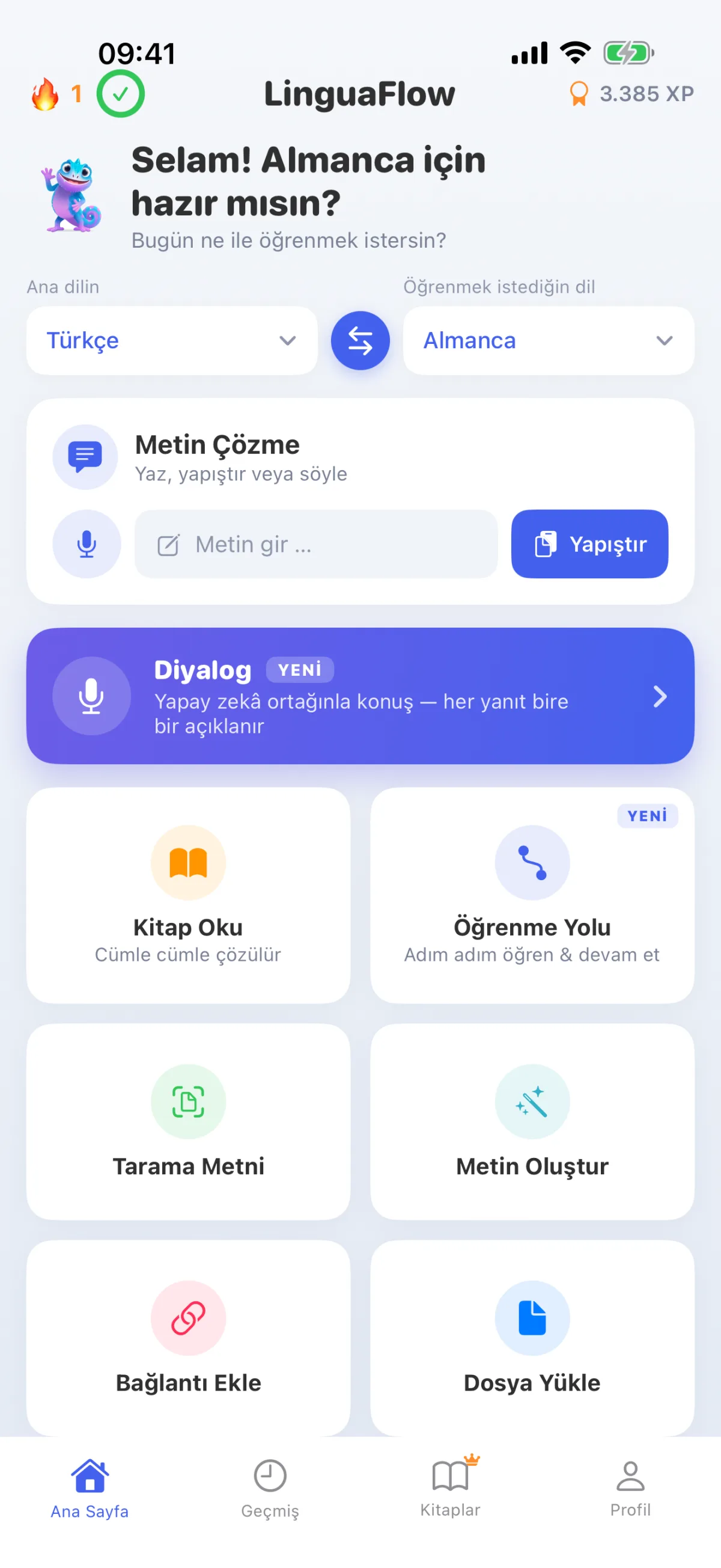 LinguaFlow Ana Sayfası – Ana dil ve öğrenilen dili seçin, metni çözün
