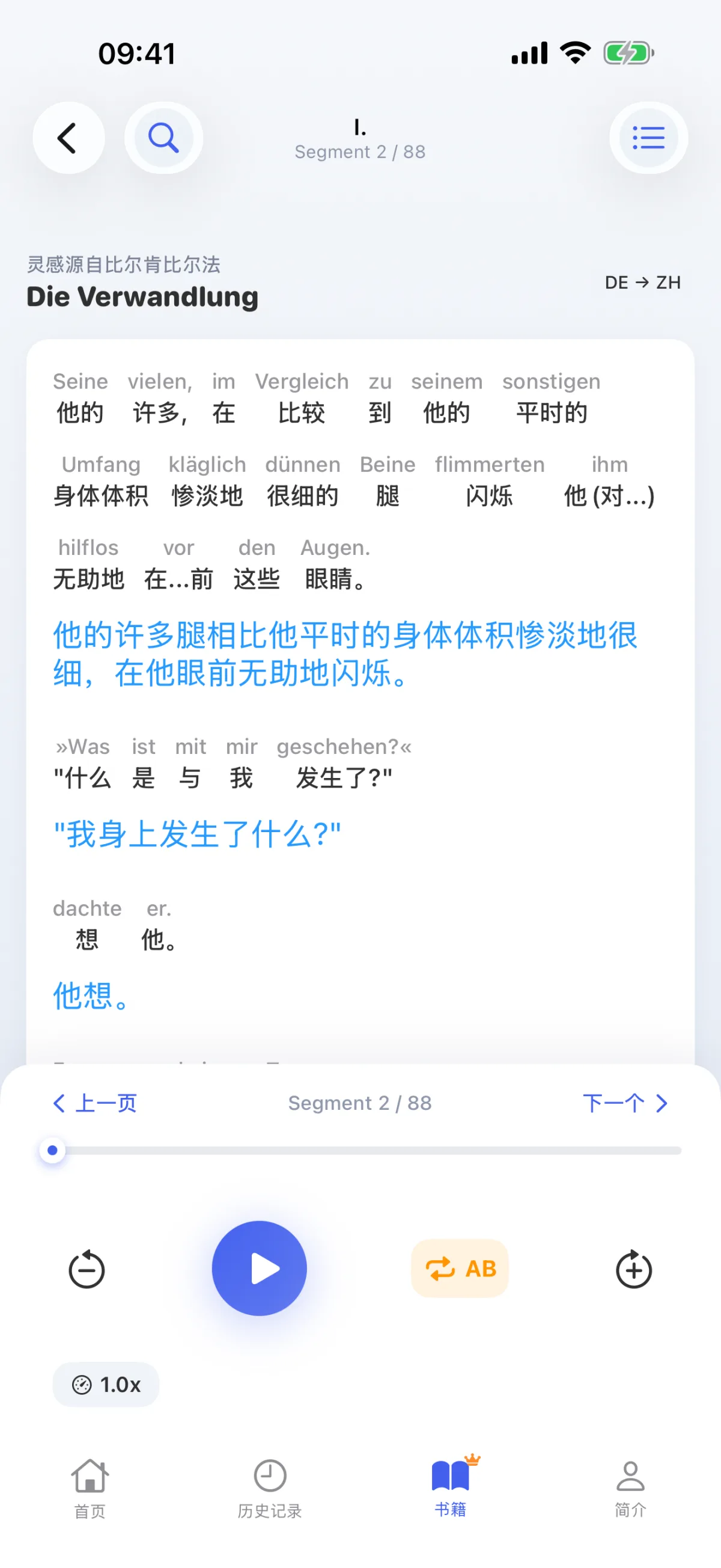 閱讀書籍：逐句逐字地解碼