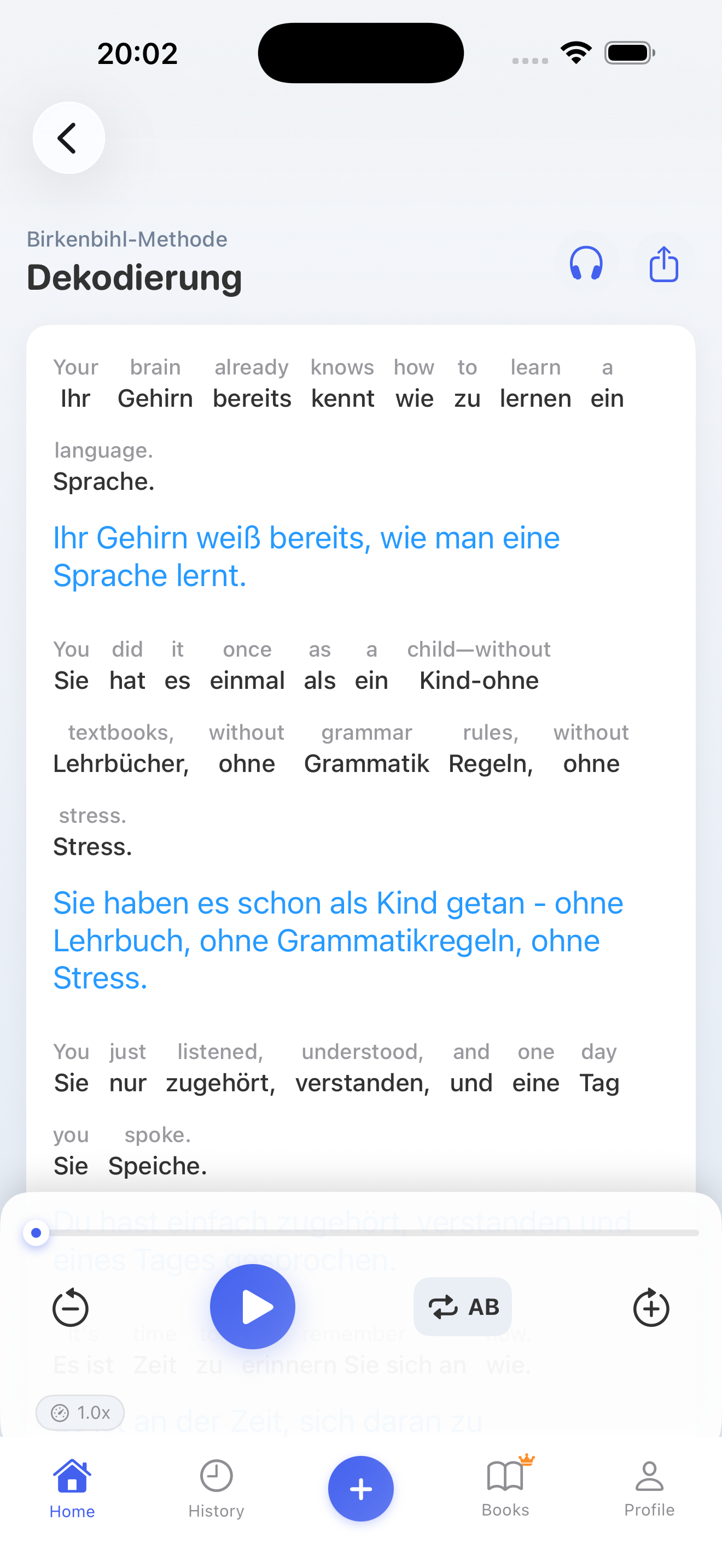 LinguaFlow Dekodierung – Birkenbihl-Methode in Aktion