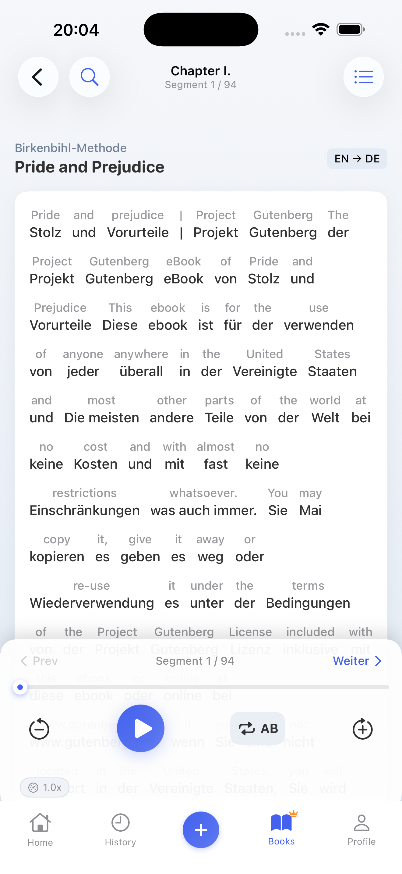 LinguaFlow Book Reader